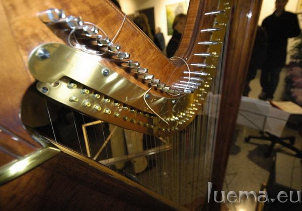 2008 Rizzo - Gavirate South America Rhytms - Gavirate 18 Gennaio 2008 SOUTH AMERICA RHYTMS ORCHESTRA SINFONICA ANDREA LUCCHESI Direttore:...
